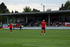 PodlesiankaPrzemsza-41