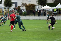 PodlesiankaPrzemsza-47