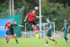 PodlesiankaPrzemsza-71