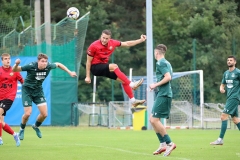 PodlesiankaPrzemsza-72