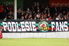PodlesiankaPrzemsza-18