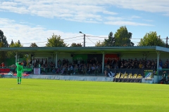 PodlesiankaRuch-152