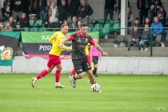 PodlesiankaSleza-115