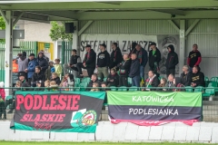 PodlesiankaSleza-137