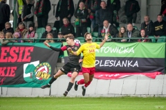 PodlesiankaSleza-139