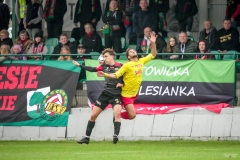 PodlesiankaSleza-140