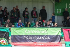 PodlesiankaStal-156