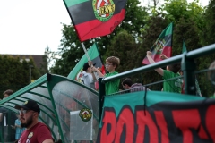 PodlesiankaSzombierki-188
