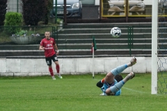 PodlesiankaPrzemsza-32