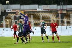 ROWPodlesie-113