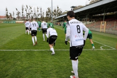 SlaskPodlesianka-21