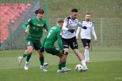 SlaskPodlesianka-26