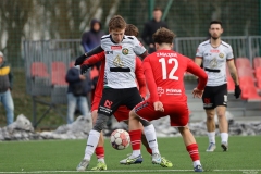 ZaglebiePodlesianka-100