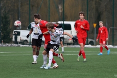 ZaglebiePodlesianka-13