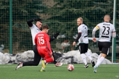 ZaglebiePodlesianka-8