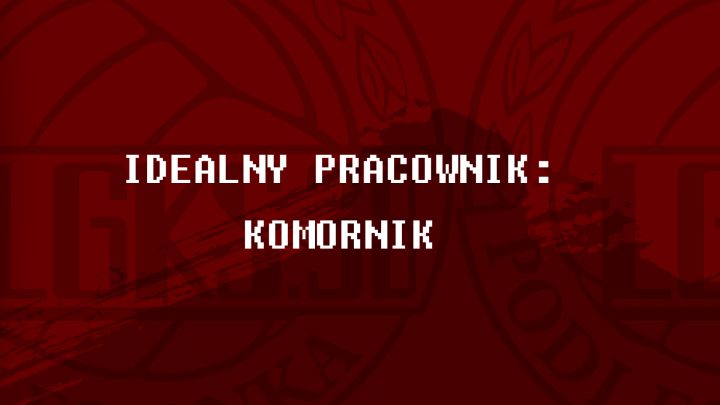 IDEALNY PRACOWNIK – KOMORNIK